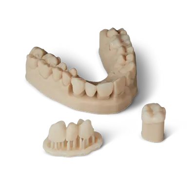 btq_prints_239-sh-softness_shadow_store