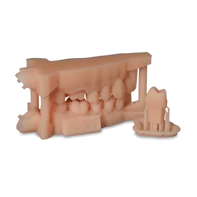 model1-ratcnpza6fjc5n6pw5vhk2eiq10b6jn0m428vzgfxc